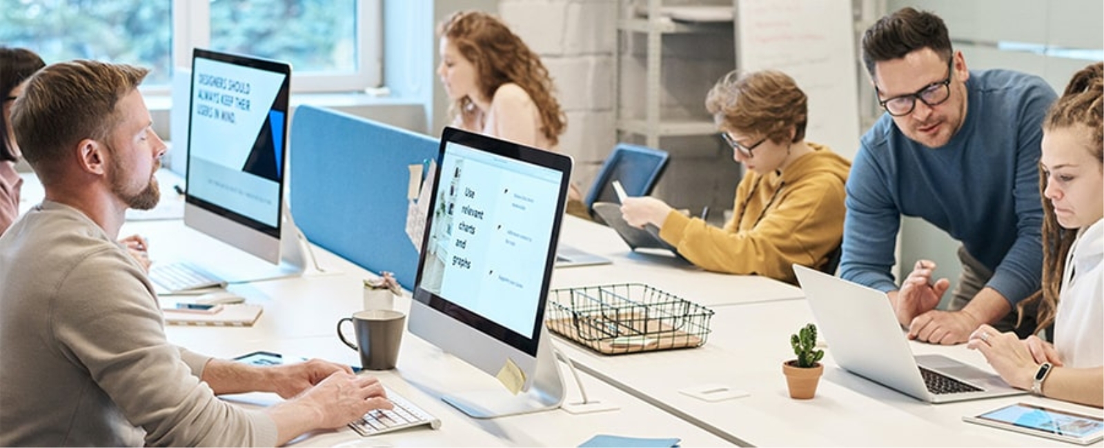 Web Software Services